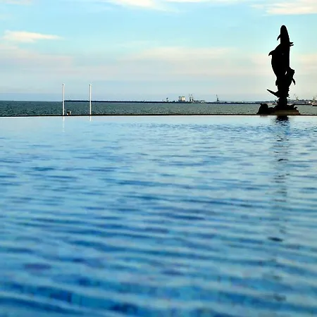 Carmen International - Fost Becali