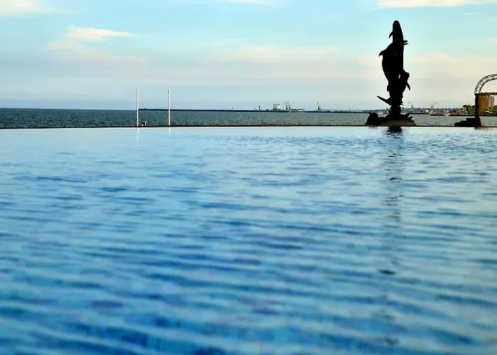 Carmen International - Fost Becali